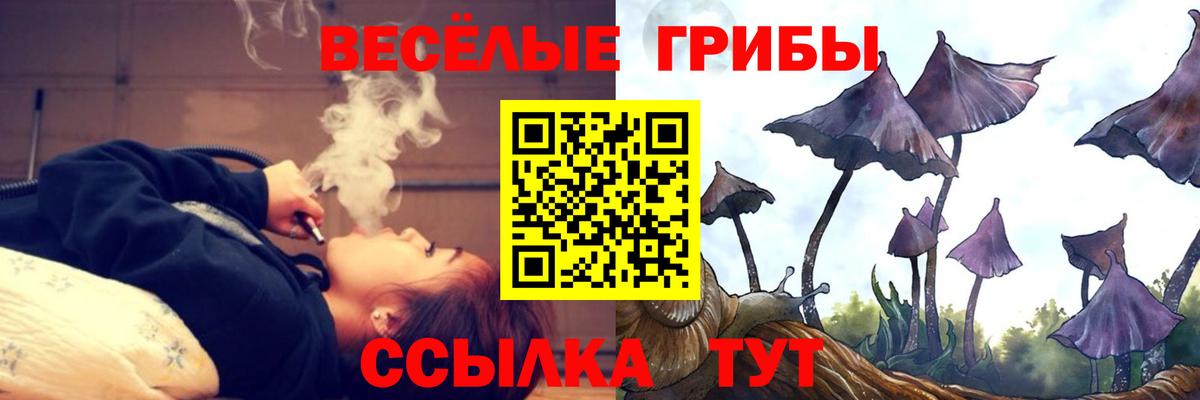Галлюциногенные грибы Cubensis Краснознаменск