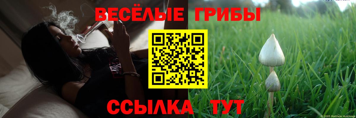 Краснознаменск  Галлюциногенные грибы Magic Shrooms  Вход с VPN 